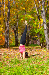 Similar image 964295