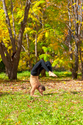 Similar image 964346