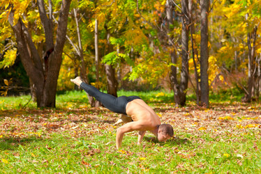 Similar image 964356