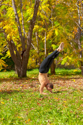 Similar image 964366