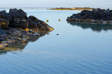 Similar image 964391