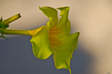 Similar image 964395