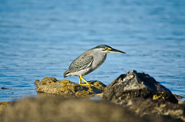 Similar image 964401