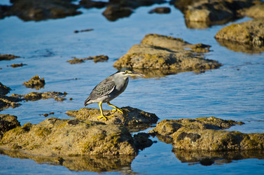 Similar image 964402