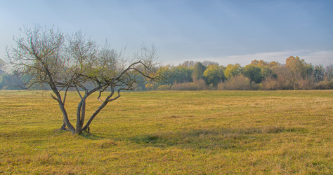 Similar image 964434