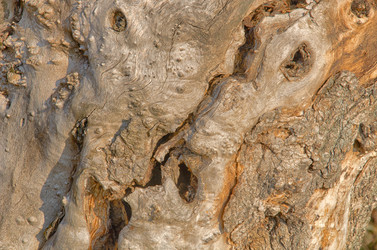 Similar image 964436