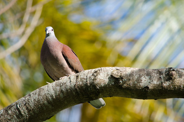 Similar image 964470