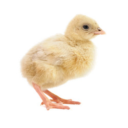 Similar image 964478