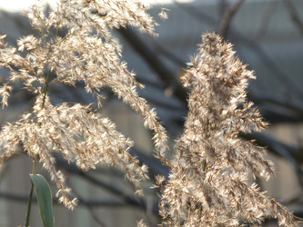 Similar image 964503