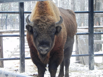 Similar image 964587