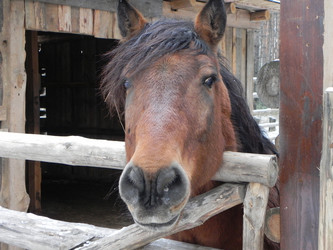 Similar image 964595