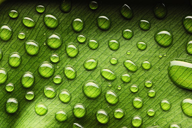 Similar image 964617