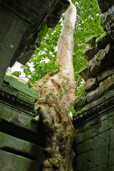 Similar image 964686