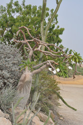 Similar image 964688