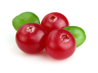 Similar image 964689