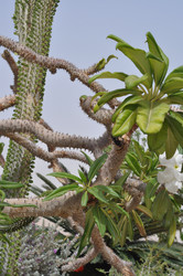 Similar image 964692