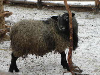 Similar image 964695