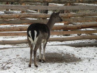 Similar image 964708