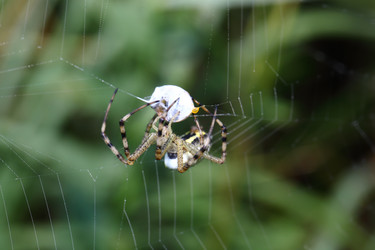 Similar image 964824