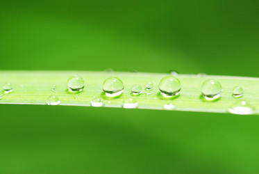 Similar image 964948