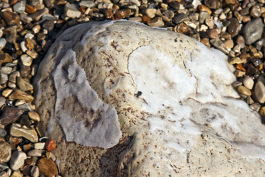 Similar image 964956