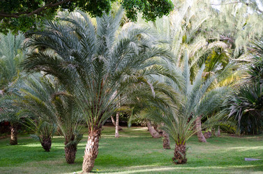 Similar image 965000