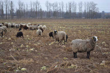 Similar image 965161