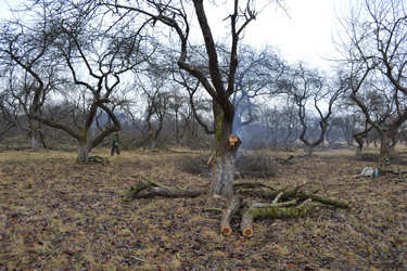 Similar image 965174