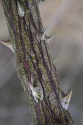 Similar image 965194