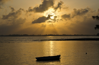 Similar image 965224