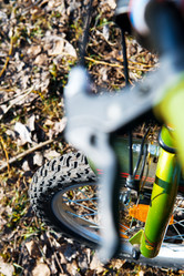 Similar image 965259