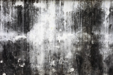 Similar image 965297