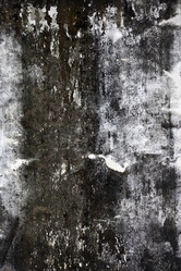 Similar image 965298