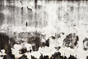 Similar image 965299