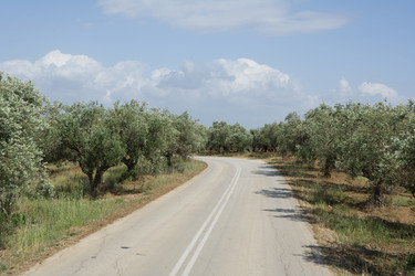 Similar image 965338