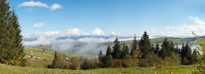 Similar image 965555