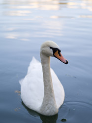 Similar image 965652