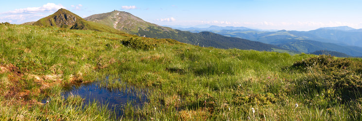 Similar image 965671