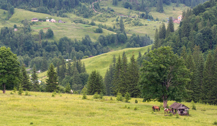 Similar image 965679