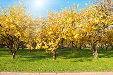 Similar image 965806