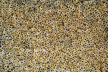 Similar image 965918