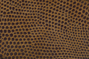 Similar image 965925