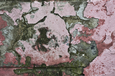 Similar image 965938