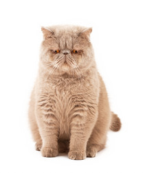 Similar image 965948