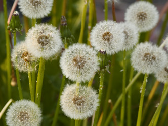 Similar image 966011