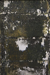 Similar image 966031