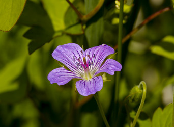 Similar image 966040