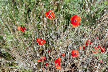 Similar image 966054