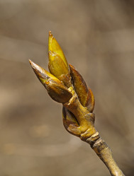 Similar image 966071