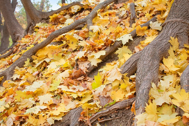 Similar image 966077